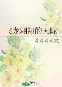 飞龙翱翔的天际