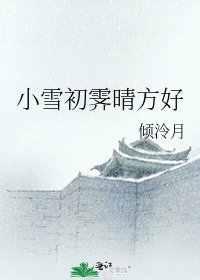 小雪初霁晴方好