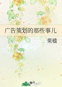 《广告策划的那些事儿》