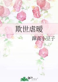 《欺世虐暧》