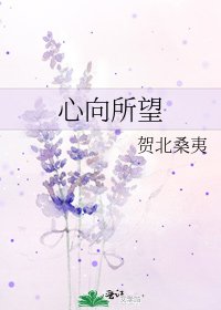 心向所望