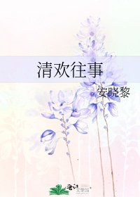 清欢往事