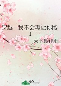 《穿越—我不会再让你跑了》