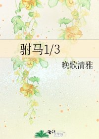 驸马1/3