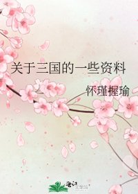關於三國的一些資料