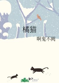 橘猫