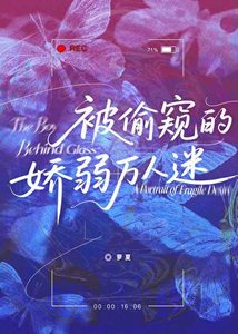 《被偷窥的娇弱万人迷》