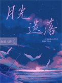 《月光遗落》