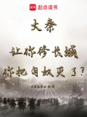 大秦:讓你修肠城你把匈罪滅了?