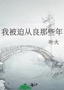 《我被迫从良那些年》
