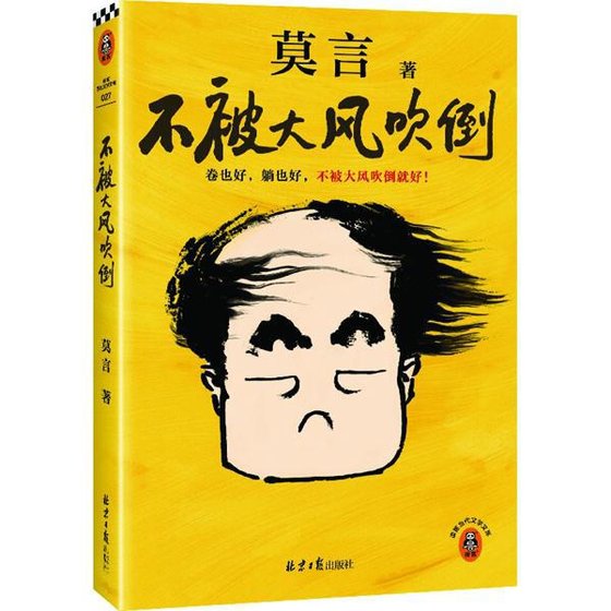 《不被大风吹倒(出书版)》