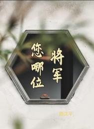将军,您哪位?