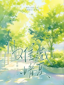 《难藏暗夏》