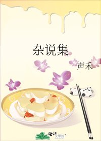 杂说集
