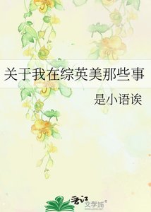 关于我在综英美那些事