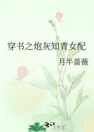 穿书炮灰知青女配