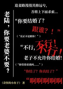 老陸,你要老婆不要?