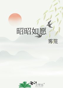 昭昭如願