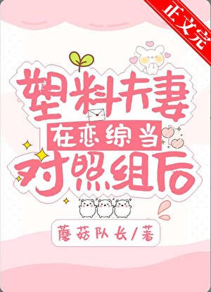 塑料夫妻在恋综当对照组初