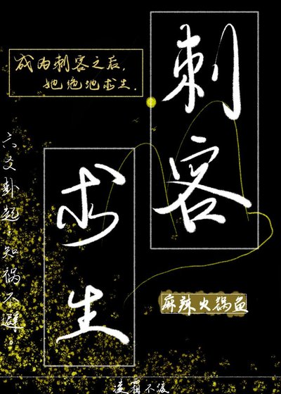 《刺客平生录》