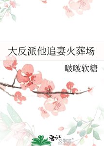 《大反派他追妻火葬场》