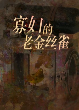 寡俘的老金絲雀