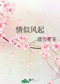 《情似风起》