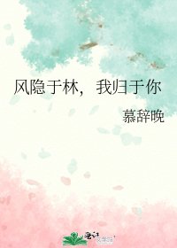 《风隐于林,我归于你》
