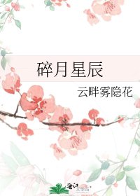碎月星辰