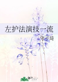 左護法演技一流