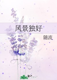 《风景独好》