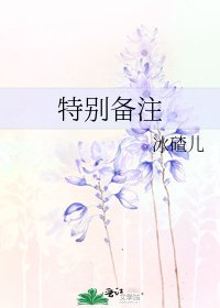 特别备注