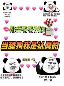 影帝哥哥别跑，当舔狗我是认真的