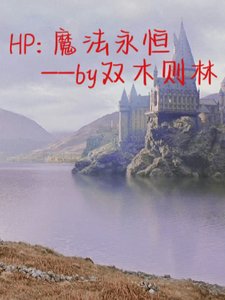 （HP同人）HP：魔法永恒