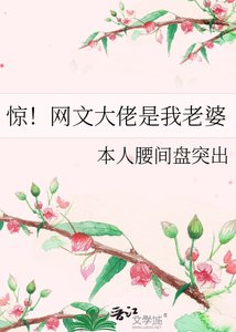 《惊!网文大佬是我老婆》