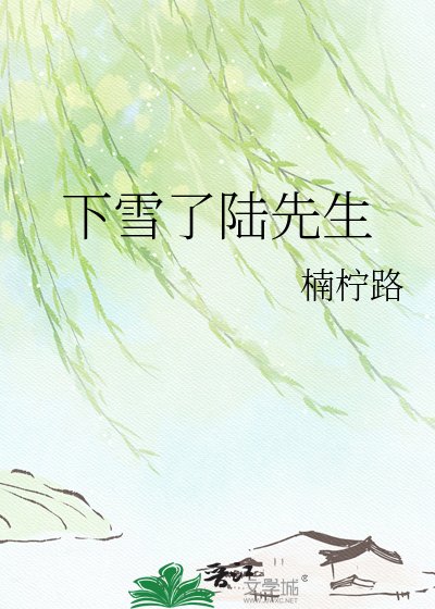 下雪了陆先生