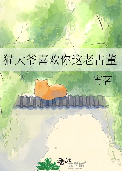 猫大爷喜欢你这老古董