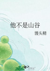 他不是山谷