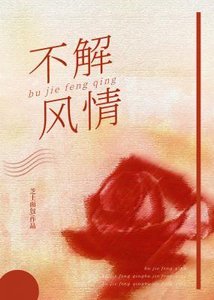 不解风情