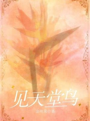 《见天堂鸟》