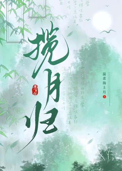 《揽月归》