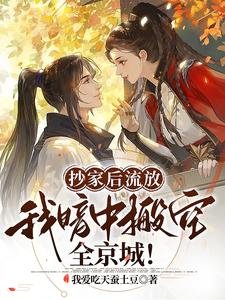 抄家初流放,我暗中搬空全京城!