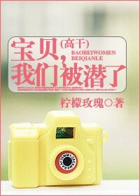 《宝贝,我们被潜了(高干)》