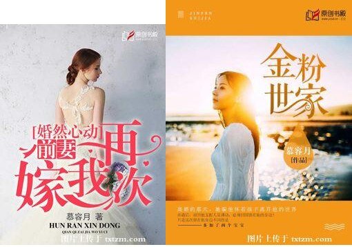 婚然心动：前妻再嫁我一次/金粉世家