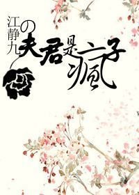 夫君是疯子/调“教”女道士
