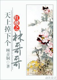 《(BL/红楼同人)红楼之天上掉下个林哥哥》
